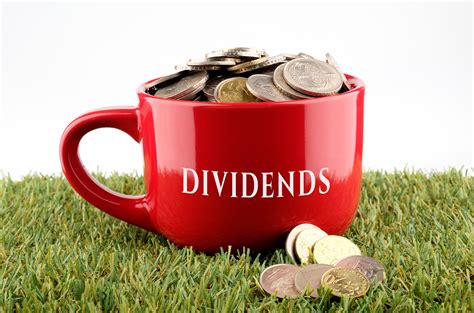 5 TSX Dividend Stocks That Should Be on Every Investor's Radar