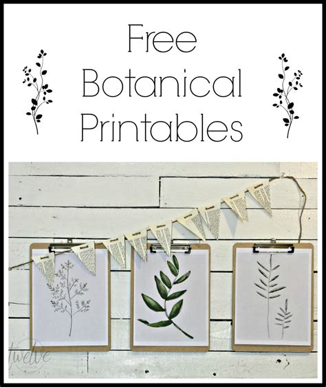 Free Watercolor Botanical Printables Free Printable Friday Twelve On