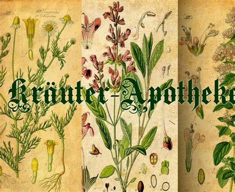 Das heißt nicht, daß in den haushalten keine medikamente vorrätig wären. Kräuter-Haus-Apotheke | Katuschka´s Celticgarden | Kräuter ...
