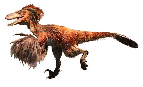 Deinonychus Dinosaurier Wiki Fandom Powered By Wikia