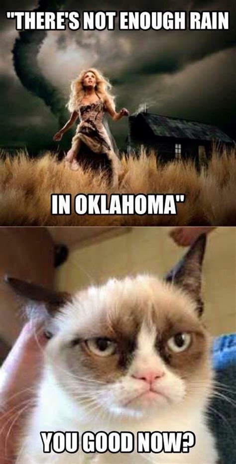 Oklahoma Weather Grumpy Cat Weather Memes Oklahoma Memes