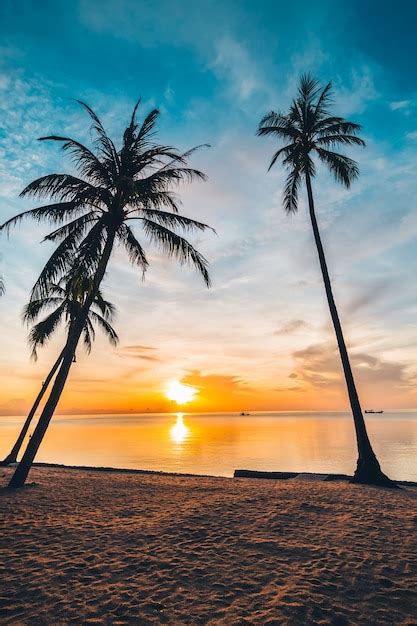 na hora do sol na praia tropical e mar com coqueiro foto premium