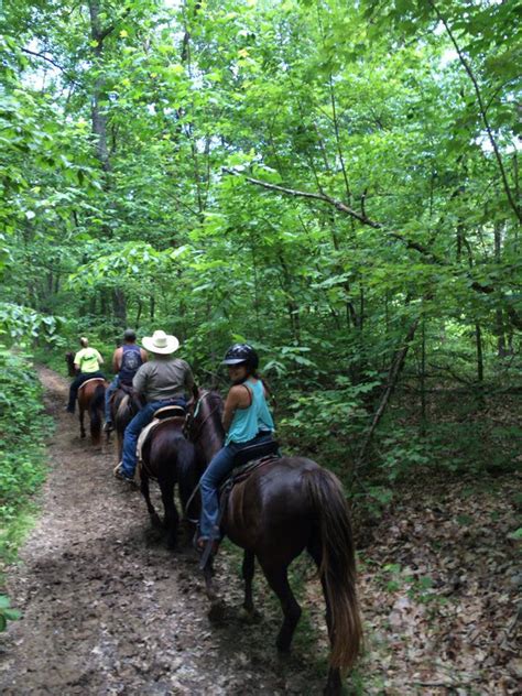 Mammoth Cave Horse Camp Trailmeister