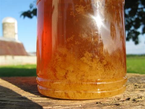 Γιατι κρυσταλλώνει το Μέλι