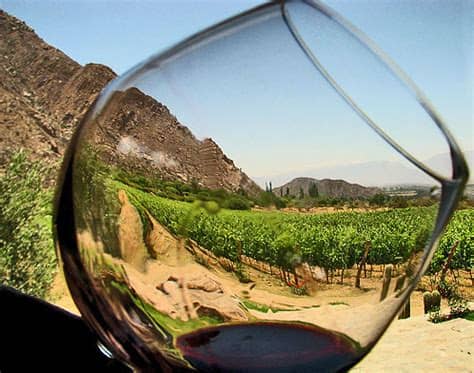 Per aderire scrivi un mesaggio con il testo si al numero 338 850 5431. RUTA DEL VINO