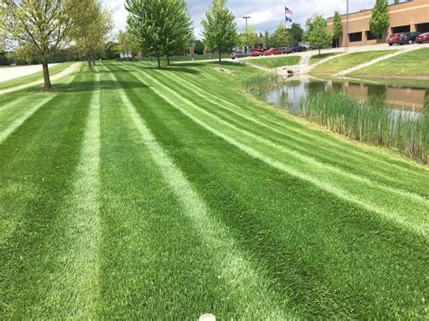 Commercial Lawn Maintenance Company Todds Services
