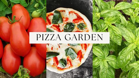 Grow A Pizza Garden Southern Exposure Seed Exchange