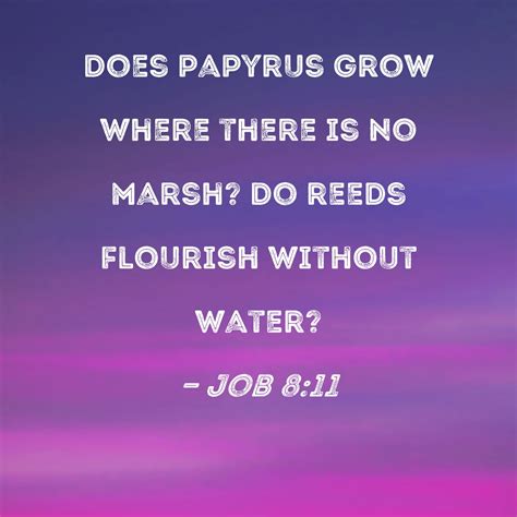 Job 811 Does Papyrus Grow Where There Is No Marsh Do Reeds Flourish