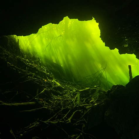 The Worlds Largest Underwater Cave Has Been Discovered