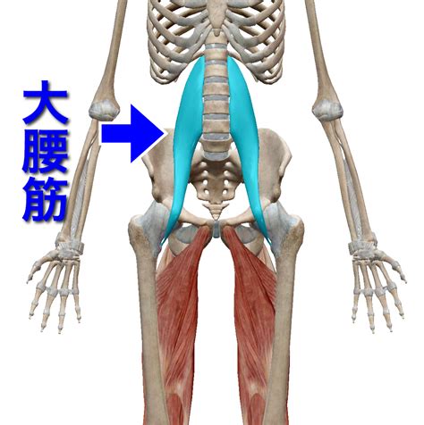 Nahrávejte, sdílejte a stahujte zdarma. 今さら聞けないスポーツのための身体の使い方どっちが正しい ...
