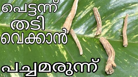 Speak malayalam language with confidence. How to gain weight ayurvedic tips in malayalam || How to ...