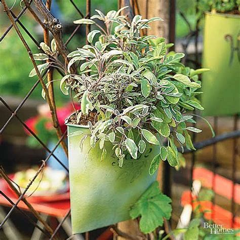 The mix includes both annual and perennial species. Pin on Deer resistant plants