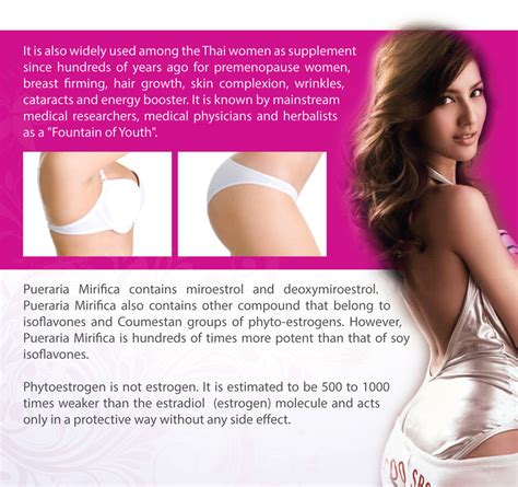 A wide variety of sdn network options are available to you. LUXOR NETWORK SDN. BHD. | Home