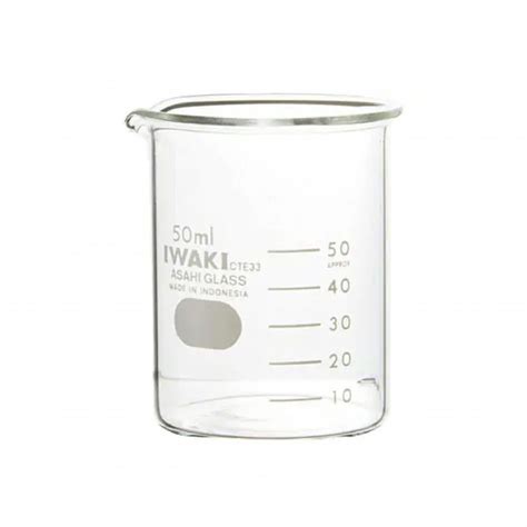 Beaker Glass 100ml Low Form Wspout Iwaki Charleston Scientific