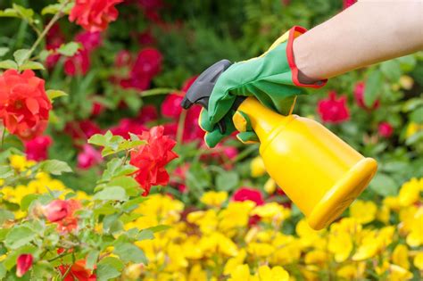 Pesticide Application Timing When Is The Best Time To Use A Pesticide