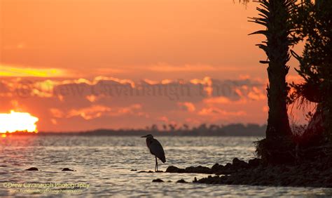 Florida Landscape Outdoor Photography