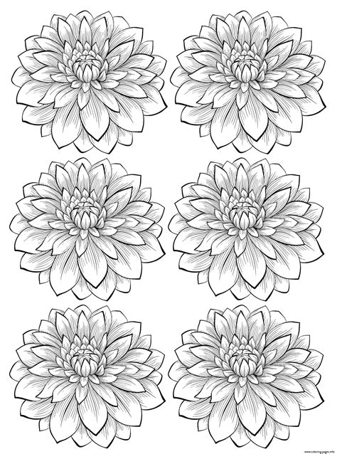 Maybe you would like to learn more about one of these? Adult Six Dahlia Flower Coloring Pages Printable