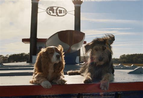 D23 Watch The Cute First Trailer For Disney S Lady And The Tramp Live Action Remake