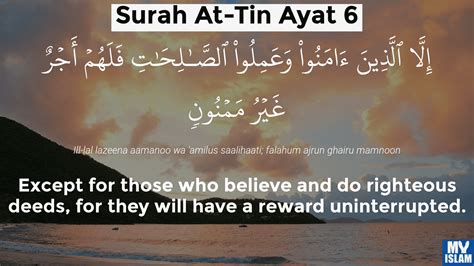 Surah Tin Ayat 6 956 Quran With Tafsir My Islam