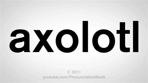 Improve english speaking and english conversation skills by learning the sounds and stress of ame. How To Pronounce Axolotl - YouTube