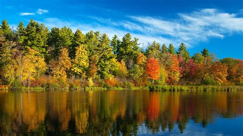 Fall Forest River Nature Trees Landscape Water Reflection