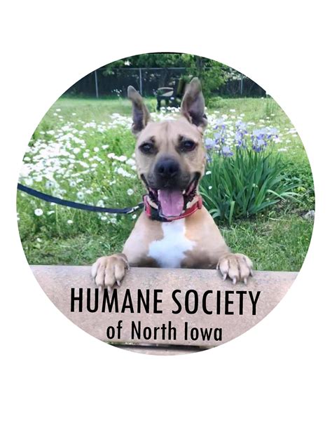 About 100 people were at the gathering inside a building in waterloo when there was some kind of confrontation shortly after 3 a.m. Pets for Adoption at Humane Society of North Iowa, in ...