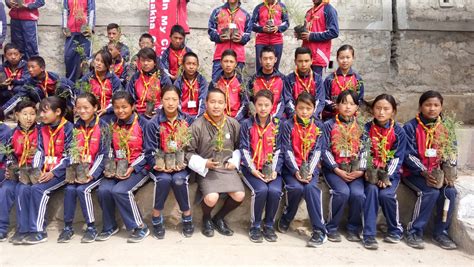 National Social Forestry Day World Scouting