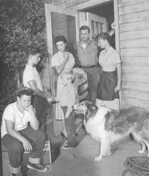 Pin By Jeremy Joseph On Lassie History Classic Faithful Tv Shows