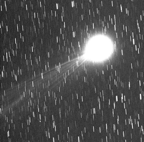 Comet Lovejoy A Second Go Adams Astrosite