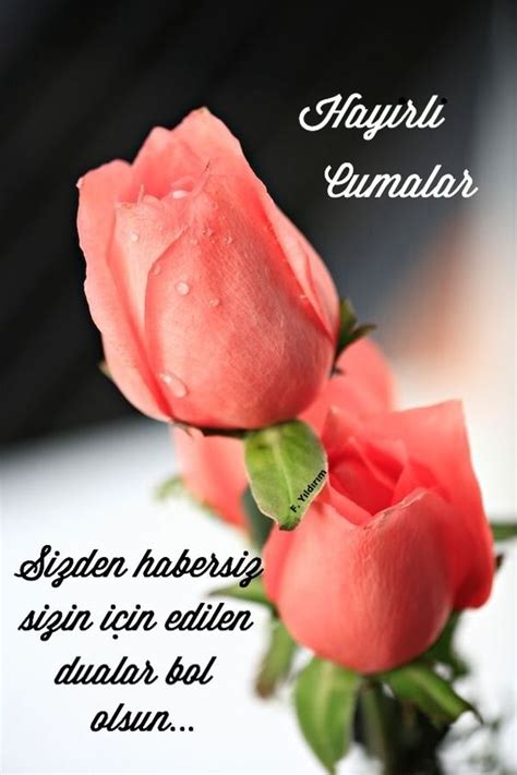 Son olarak i̇çişleri bakanlığı sokağa çıkma yasağı ile ilgili bir açıklama yayımladı. Sokağa Çıkma Yasağında Cuma Namazı Camide Kılınacak mı ...