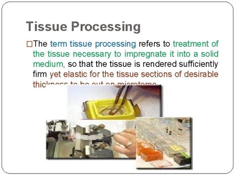 Lab 2 Tissue Processing Objectives What Is Tissue