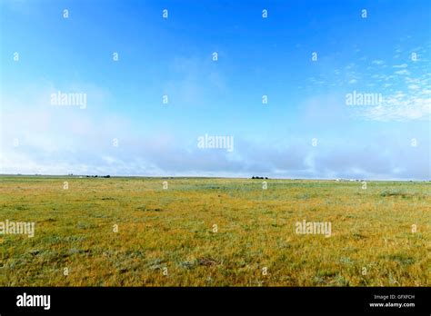 Green Grass Pasture Under Blue Sky With Clouds Colorado Plains Very