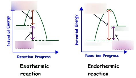 Exothermic And Endothermic Reactions Diagram Quizlet
