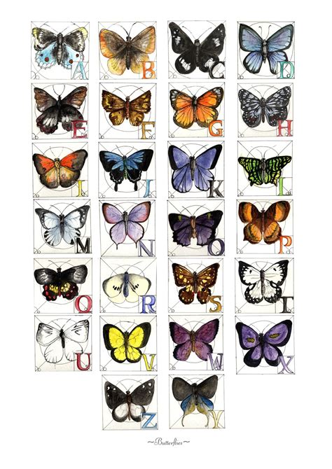 Butterfly Alphabet By Tundastruck On Deviantart Butterfly Fantasy