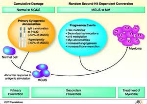 Prevention Of Progression In Monoclonal Gammopathy Of Undetermined