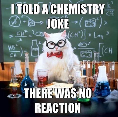 Science Cat Meme 2 Entertainmentmesh