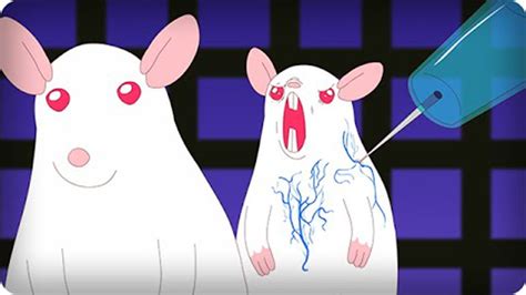 Scientifically Accurate Pinky And The Brain Youtube
