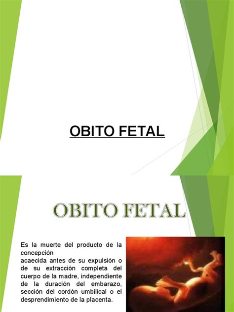 Obito Fetal Pdf El Embarazo Placenta