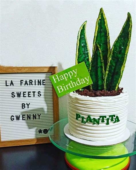 Plantita Cake Birthday Sheet Cakes Plant Cakes Ideas Small Birthday