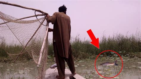 Fish Hunting With Net Amazing Traditional Primitive Technique Youtube