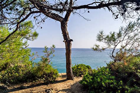 Marble Beach Thassos Stock Photos Pictures And Royalty Free Images Istock