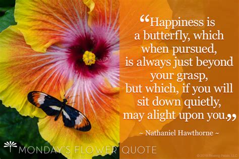 Flower Quote Happiness Is A Butterfly Floating Petals