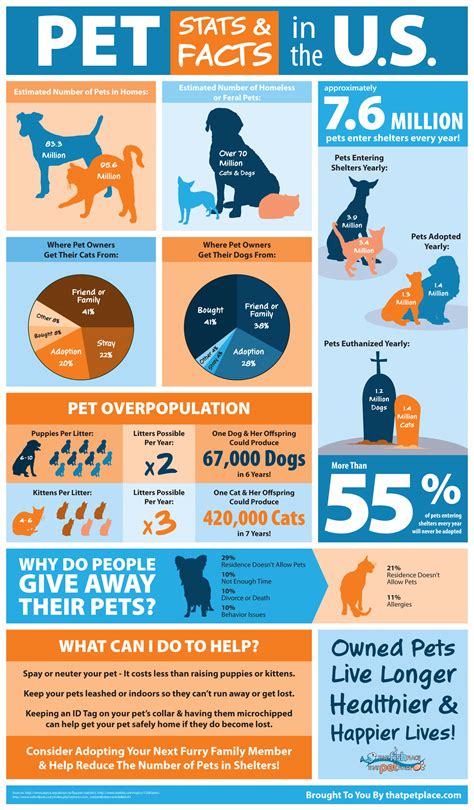 Dogs are not always the best. Pet Overpopulation And Shelter Statistics - Infographics