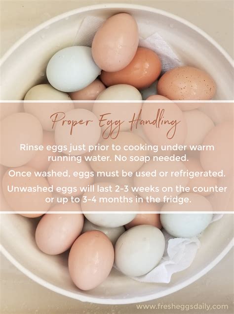 Fresh Egg Storage Instructions
