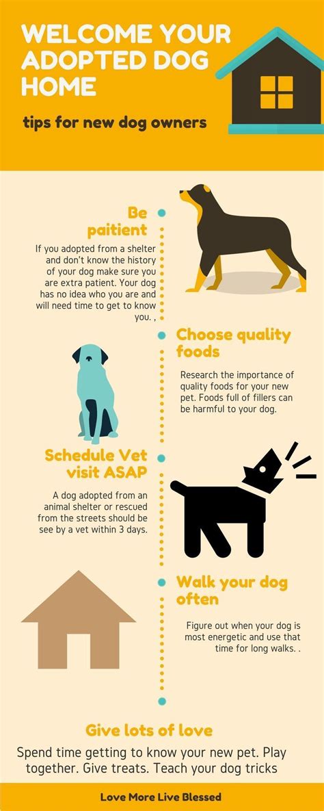 Adopting A Dog Can Be Stressful For You And Your New Dog Here Are A