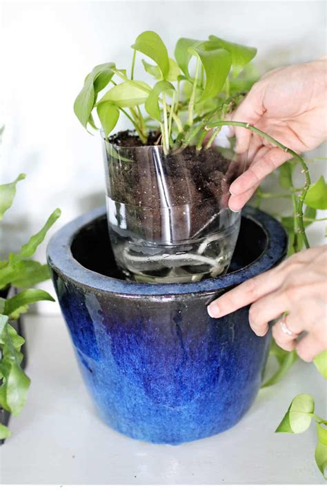 5 Self Watering Planter Hacks You Have To Try Diy Self Watering