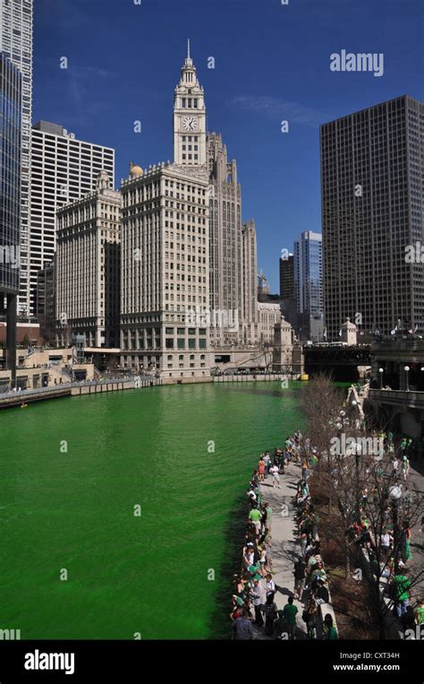Chicago River Dyed Green On Saint Patricks Day Wrigley Building