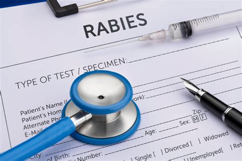 Rabies On The Rise Doctors Warn Travellers