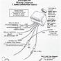 Gm Wiper Switch Wiring Diagram 1988