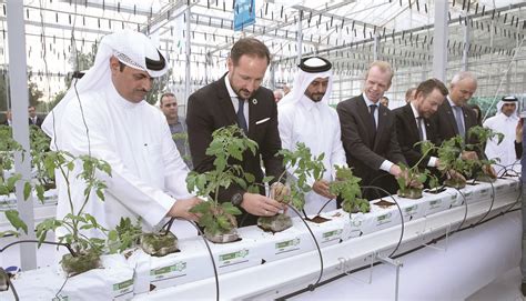 qatar s first water saving greenhouse pilot project launched what s goin on qatar